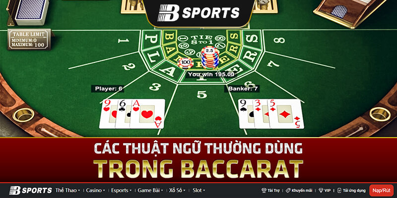 Thuật ngữ người chơi cần biết khi chơi game Baccarat Thuật ngữ người chơi cần biết khi chơi game Baccarat