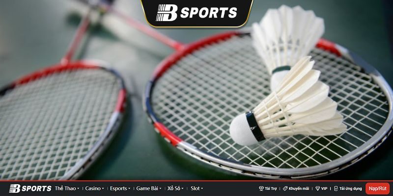 Những loại kèo cược cầu lông Bsports