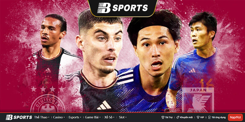 website xem trực tiếp bóng đá Bsports website xem trực tiếp bóng đá Bsports