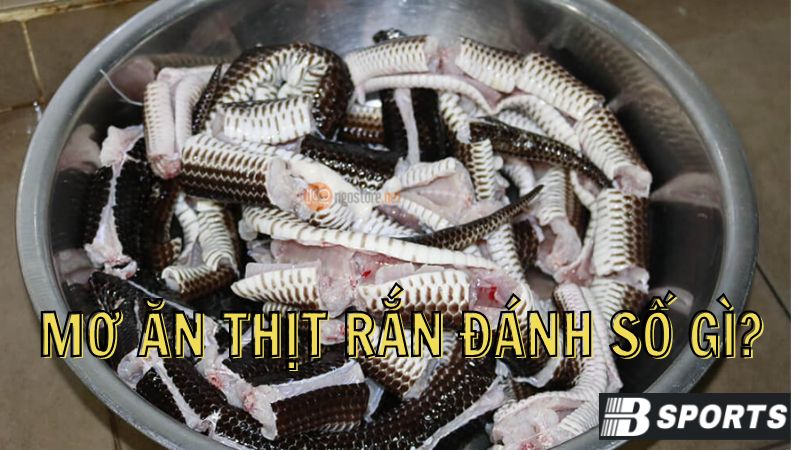 Mơ ăn thịt rắn sau khi bắt về thì nên đánh số nào? Mơ ăn thịt rắn sau khi bắt về thì nên đánh số nào?